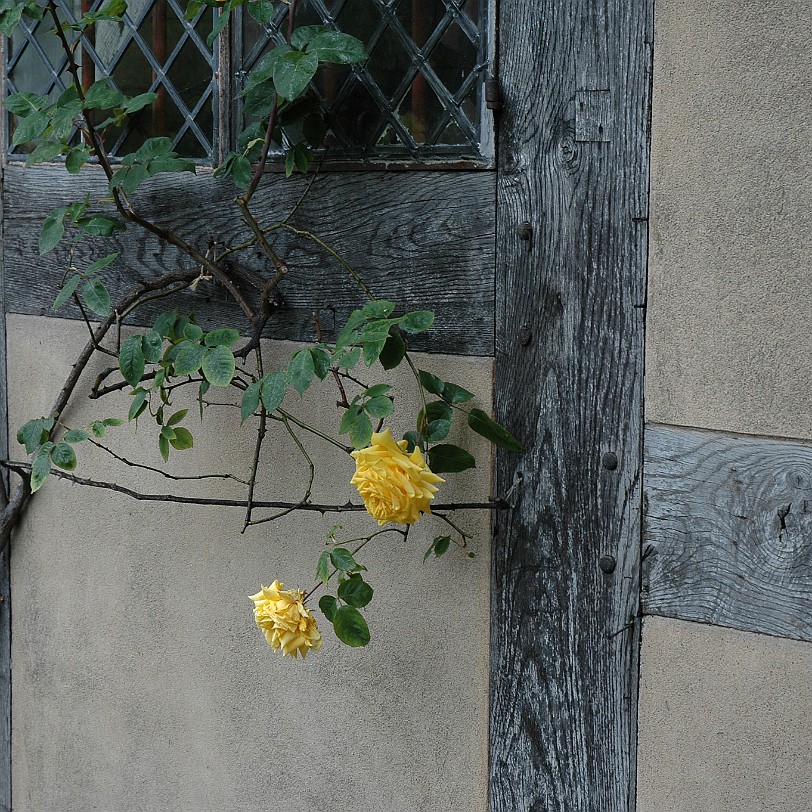 [D-1123] Stratford-upon-Avon, Shakespeare Geburtshaus, Warwickshire, Großbritannien