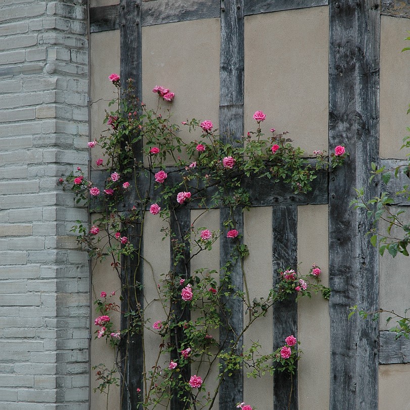 [D-1127] Stratford-upon-Avon, Shakespeare Geburtshaus, Warwickshire, Großbritannien