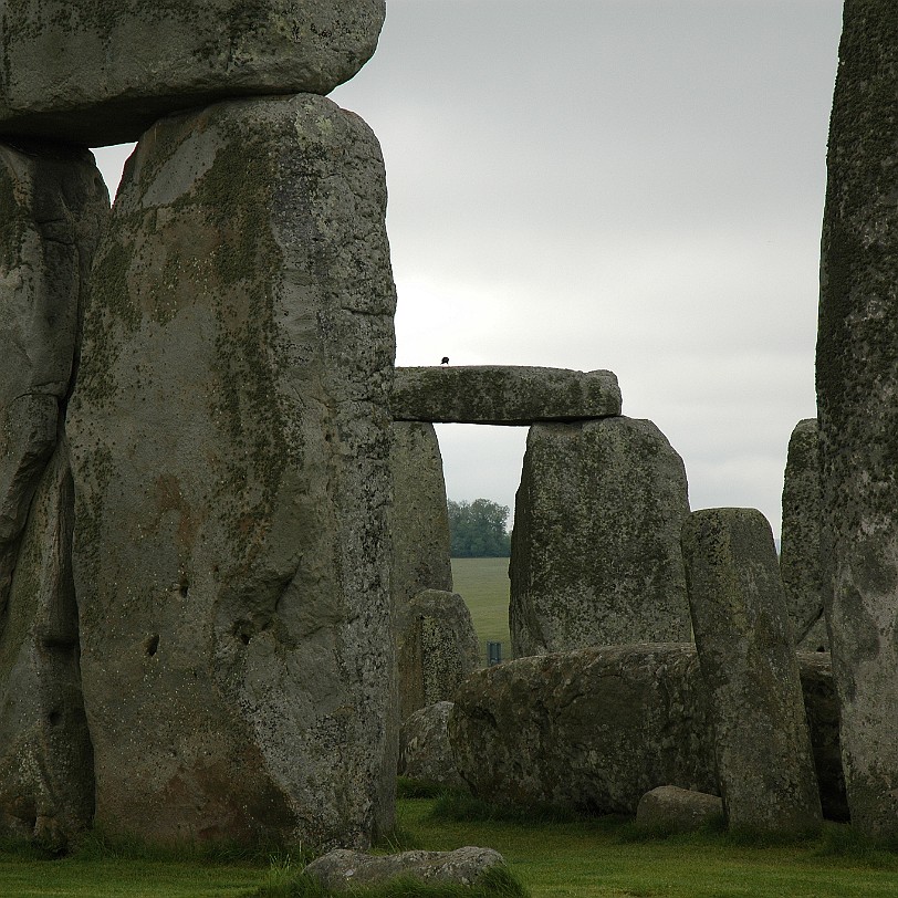 [D-0383] Stonehenge is renowned for its remarkable and uniquely carved rings of stones, cared for by English Heritage. But the World Heritage site on Salisbury Plain is...