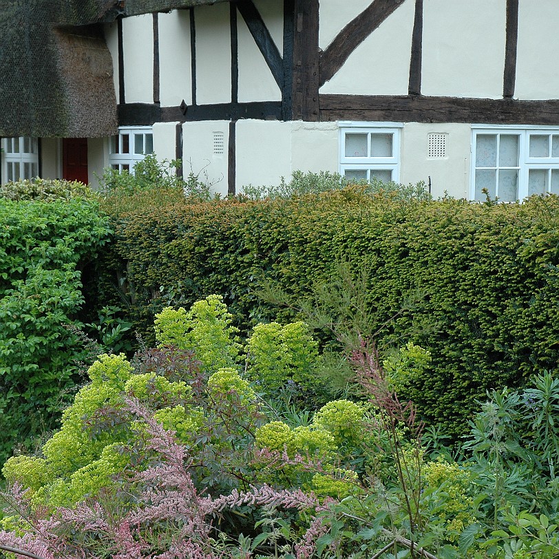 [D-0397] Wiltshire, Großbritannien