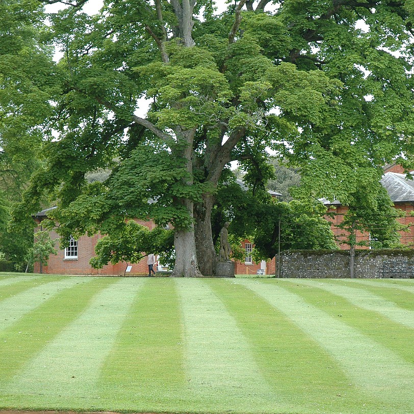 [D-0404] From Priory to Abbey The original building was a priory, founded by William Briwere in 1201. He was a trusted adviser to Richard the Lionheart, King John and...