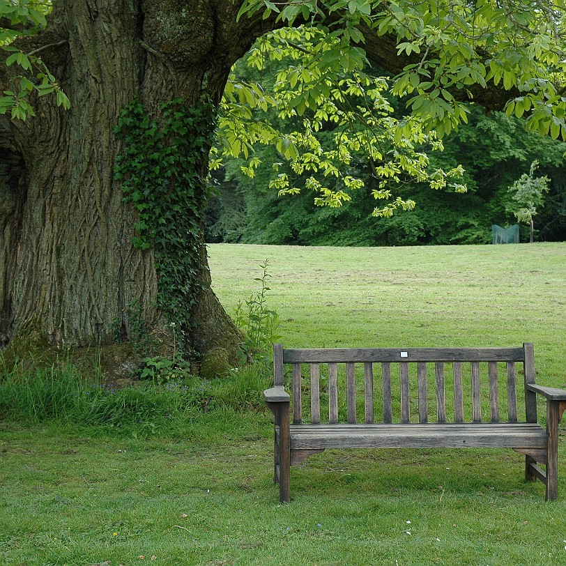 [D-0421] Romsey, Mottisfont Abbey Garde, Hampshire, Großbritannien, 12. Jahrhundert