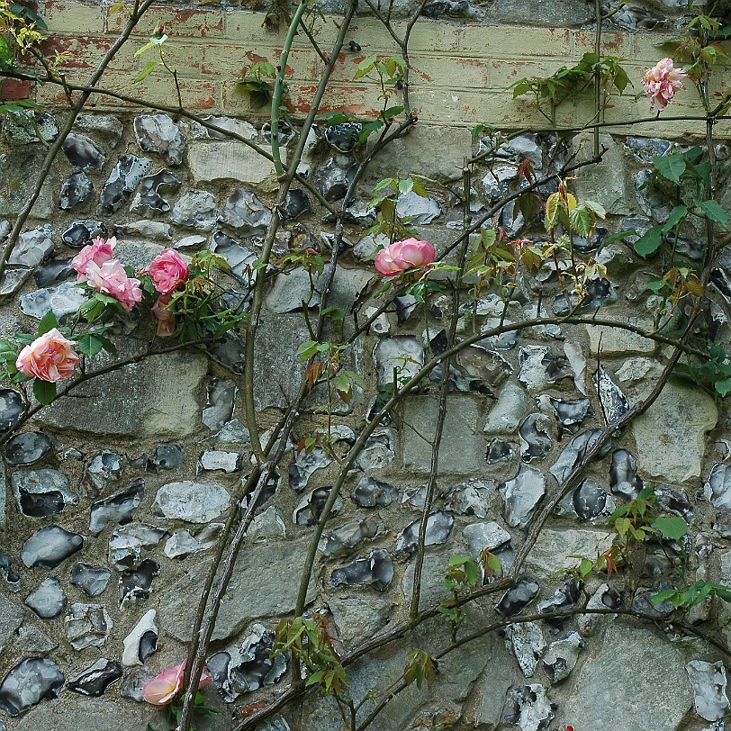 [D-0425] Romsey, Mottisfont Abbey Garde, Hampshire, Großbritannien, 12. Jahrhundert