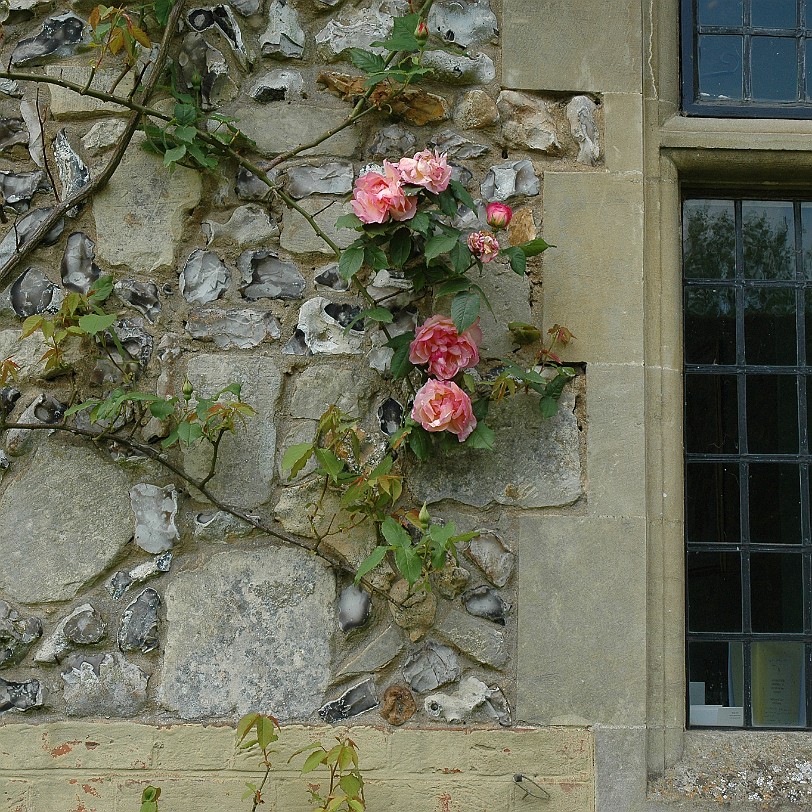 [D-0426] Romsey, Mottisfont Abbey Garde, Hampshire, Großbritannien, 12. Jahrhundert