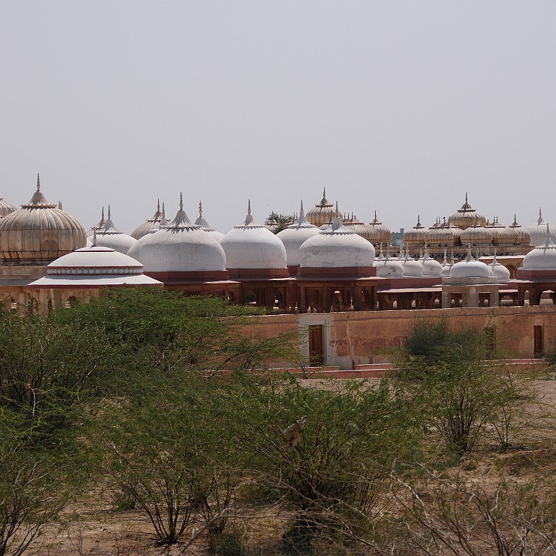 DSC_1790 In der Nähe von Bikaner liegt der Bestattungsplatz der Herrscherfamilie von Bikaner. Die Kenotaphe der verstorbenen Familienmitglieder sind mit sehenswerten...