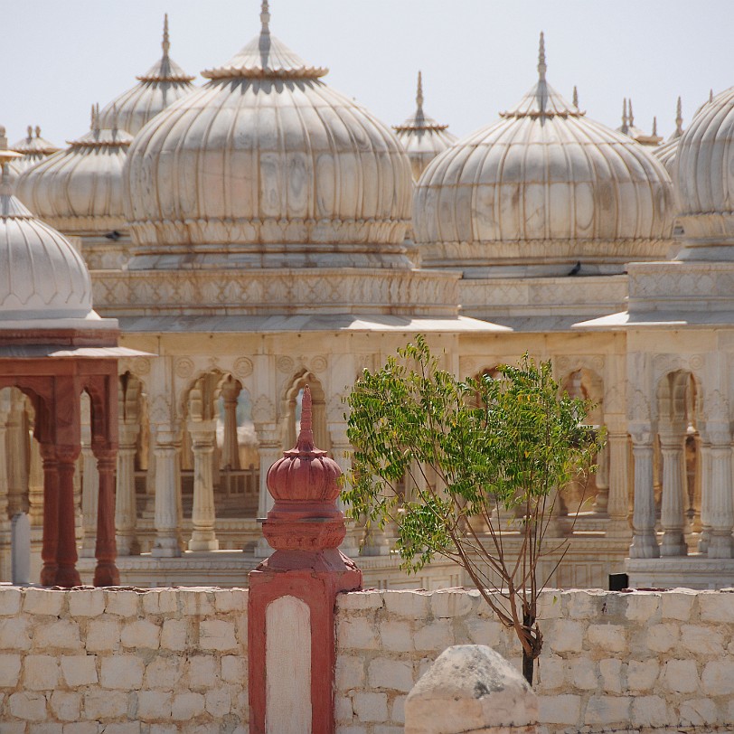 DSC_1799 In der Nähe von Bikaner liegt der Bestattungsplatz der Herrscherfamilie von Bikaner. Die Kenotaphe der verstorbenen Familienmitglieder sind mit sehenswerten...