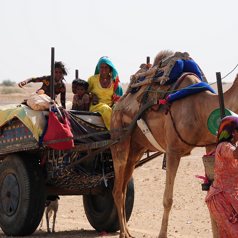 DSC_2072 Von Bikaner nach Jaisalmer. Eine Pilgergruppe in der Wüste Thar.