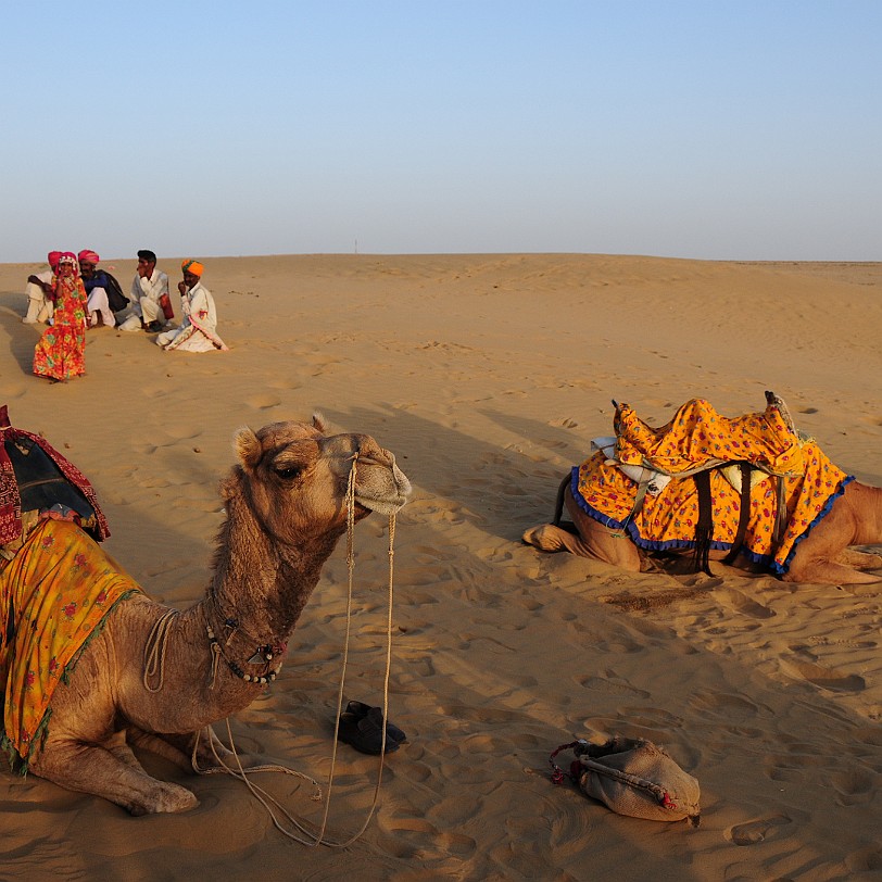 DSC_2425 In der Wüste Thar
