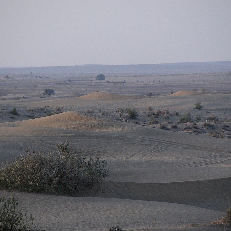DSC_2442 In der Wüste Thar