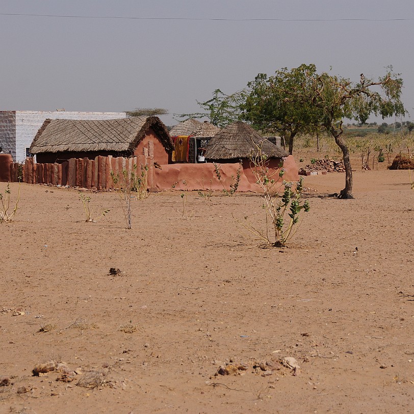 DSC_2604 Der Weg von Jaisalmer nach Jodhpur. Diese Hütte und Ihre Bewohner wurden überfallen.