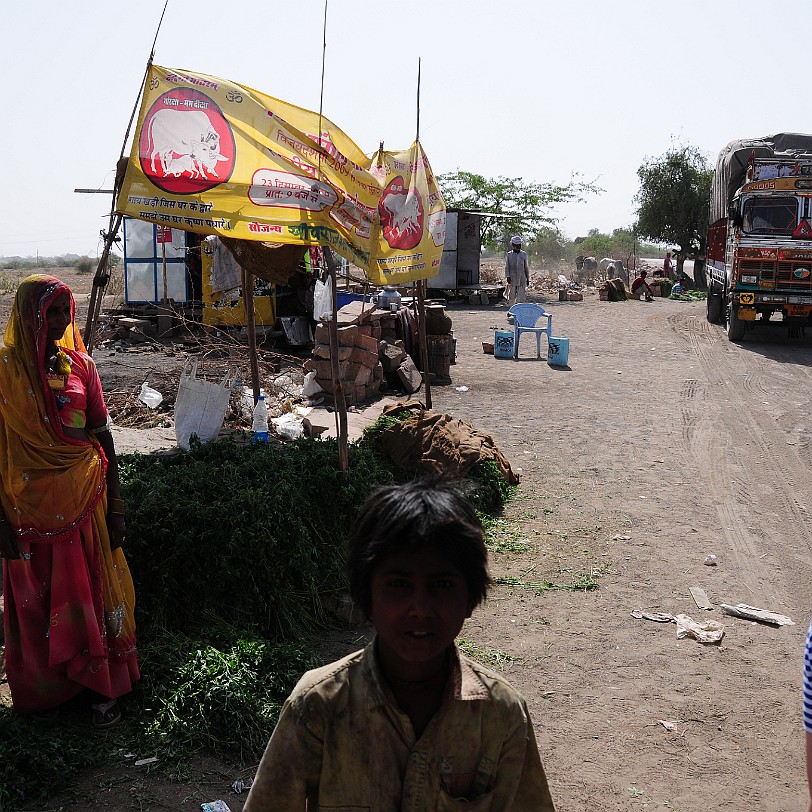 DSC_2850 Von Jodhpur nach Udaipur. Das hier war ein Motorradtempel!