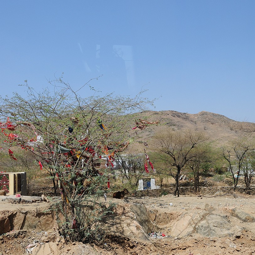 DSC_3085 Bilder am Weg nach Ajmer