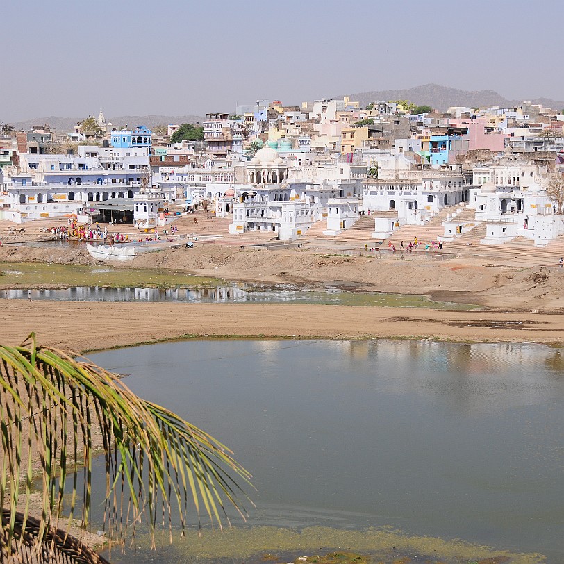 DSC_3150 Pushkar ist ein kleiner Ort im indischen Bundesstaat Rajasthan, nahe der Wüste Thar, 11 km nordwestlich von Ajmer. Die durchschnittliche Höhenlage des Ortes ist...