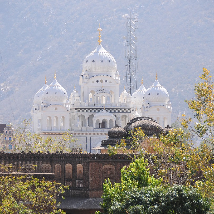 DSC_3151 Pushkar