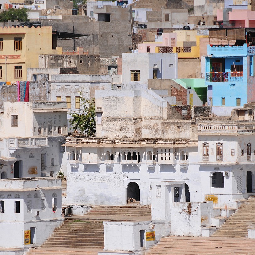 DSC_3153 Pushkar: Sehenswürdigkeiten in der für Rajasthans Tourismus sehr wichtigen Stadt sind der einzige Brahma-Tempel Indiens aus dem 14. Jahrhundert, die Ghats, rund...