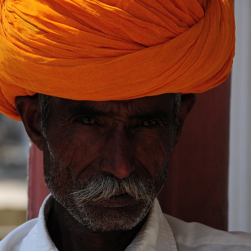 DSC_3162 Pushkar