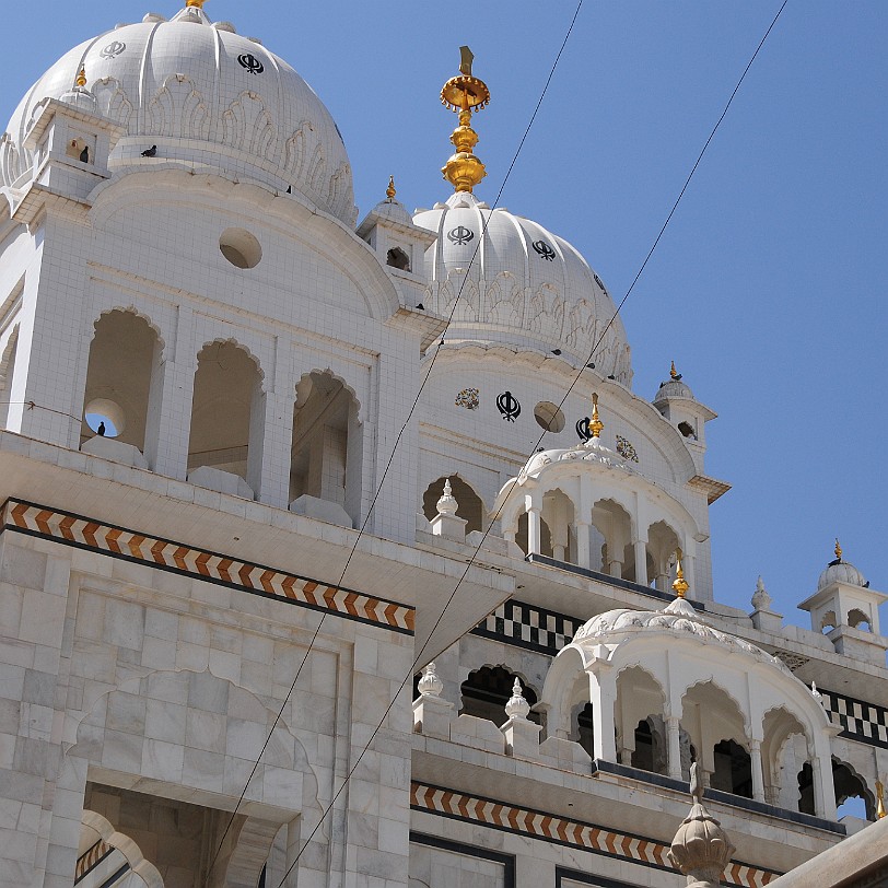 DSC_3171 Pushkar