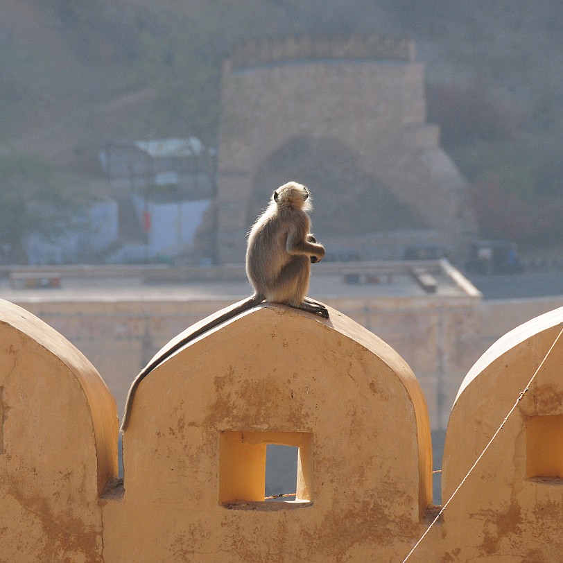 DSC_3271 Amber Fort