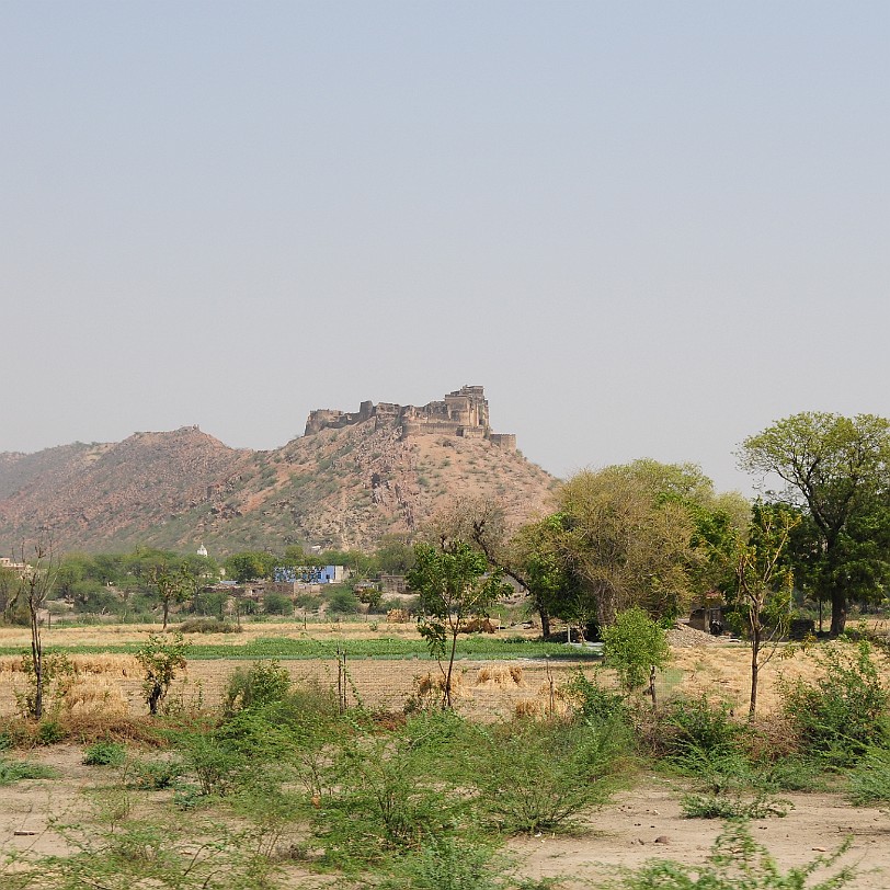 DSC_3488 Von Jaipur nach Ranthambore