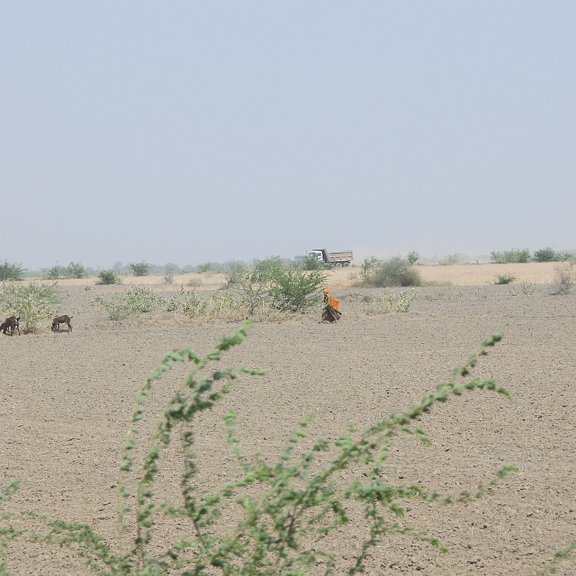 DSC_3490 Von Jaipur nach Ranthambore