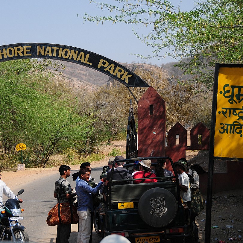 DSC_3542 Im Ranthambore Nationalpark leben die letzten freilaufenden Tiger von Indien. Der Park ist in vier Zonen eingeteilt, pro Einfahrt darf man nur eine Zone...