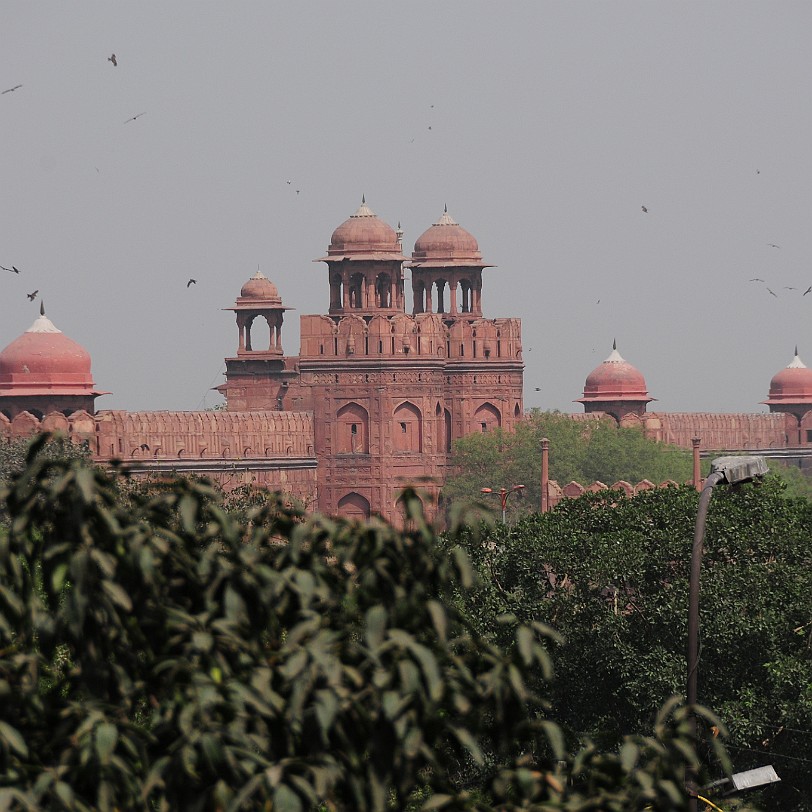 DSC_3896 In Neu-Delhi herrscht während der heißen Jahreszeit eine trockene Hitze, die Umweltbelastung ist sehr hoch. Laut WHO hat die Metropolregion Delhi die...