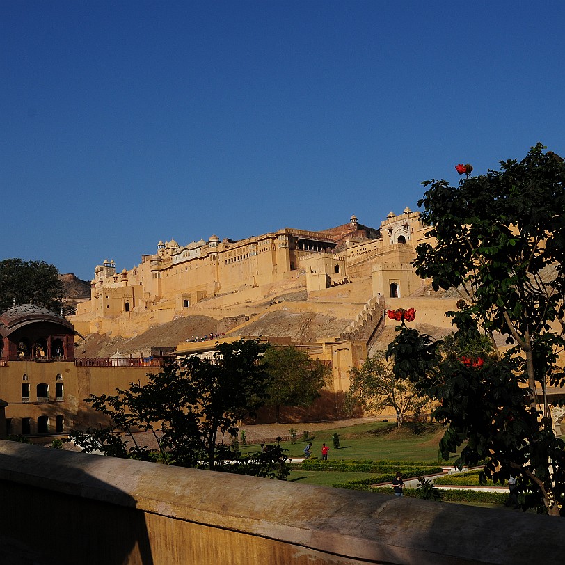DSC_3259 Amber Fort