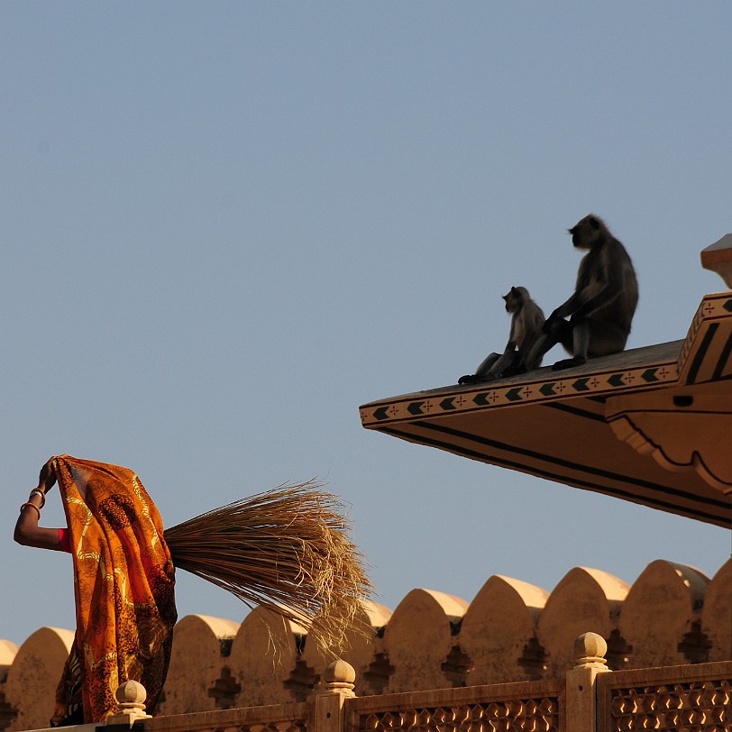 DSC_3298 Amber Fort