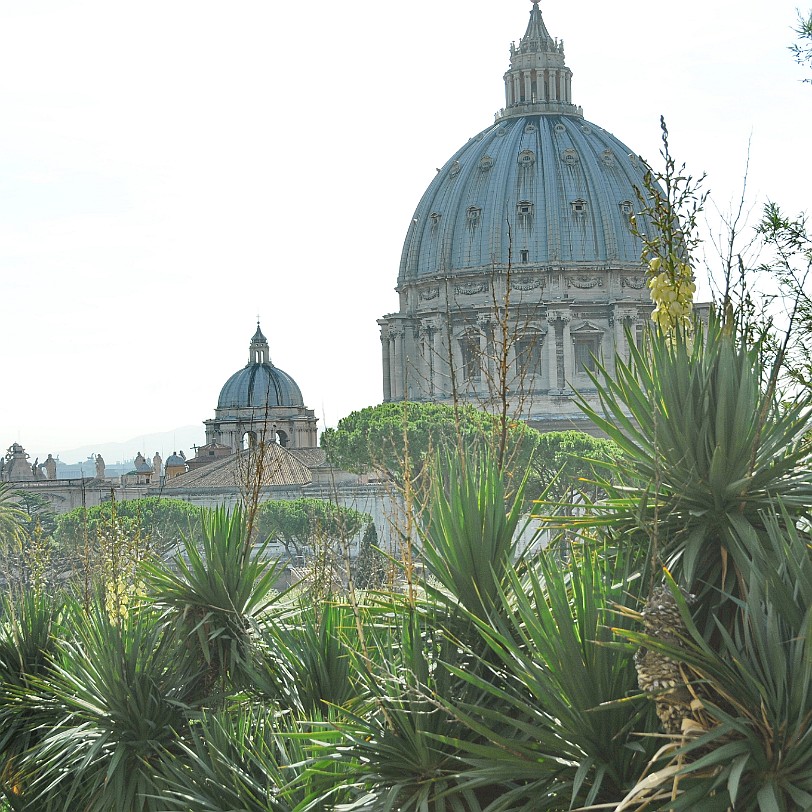 2012-09 Rom [072] Rom, Vatikan, Gärten