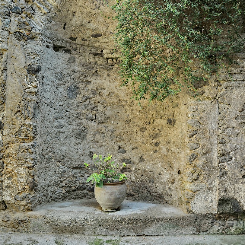 2014-10 Ischia [025] Ischia/Italien: Castello Aragonese