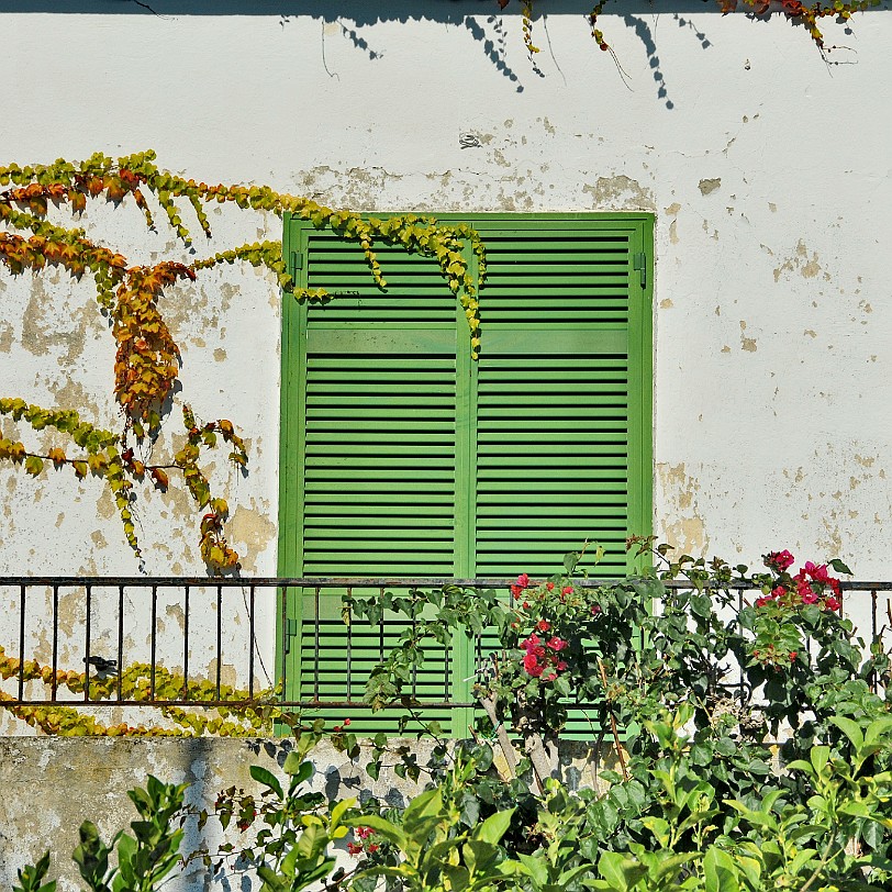 2014-10 Ischia [161] Ischia, Italien - Forio