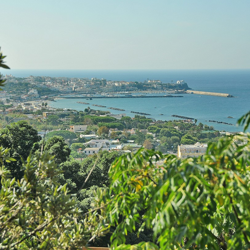 2014-10 Ischia [186] Ischia, Giardini La Mortella