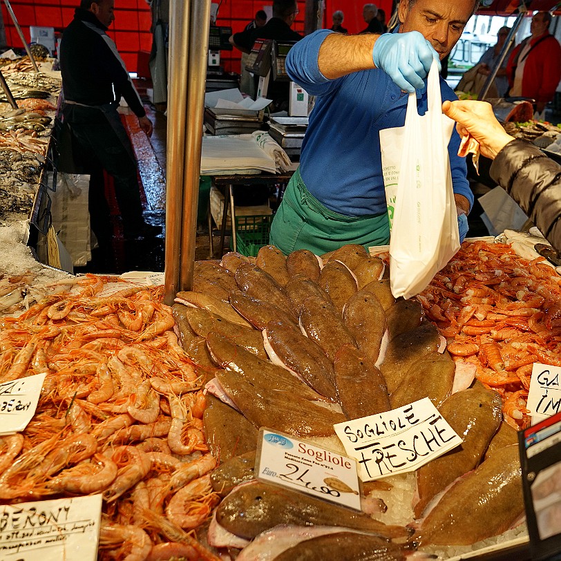 DSC01313 Venedig Fischmarkt