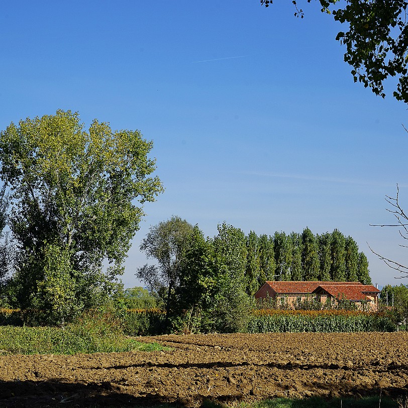 DSC05735 Das Riserva Naturale orientata Cavagrande del Cassibile ist ein Naturschutzgebiet im Südosten Siziliens in der Provinz Syrakus.