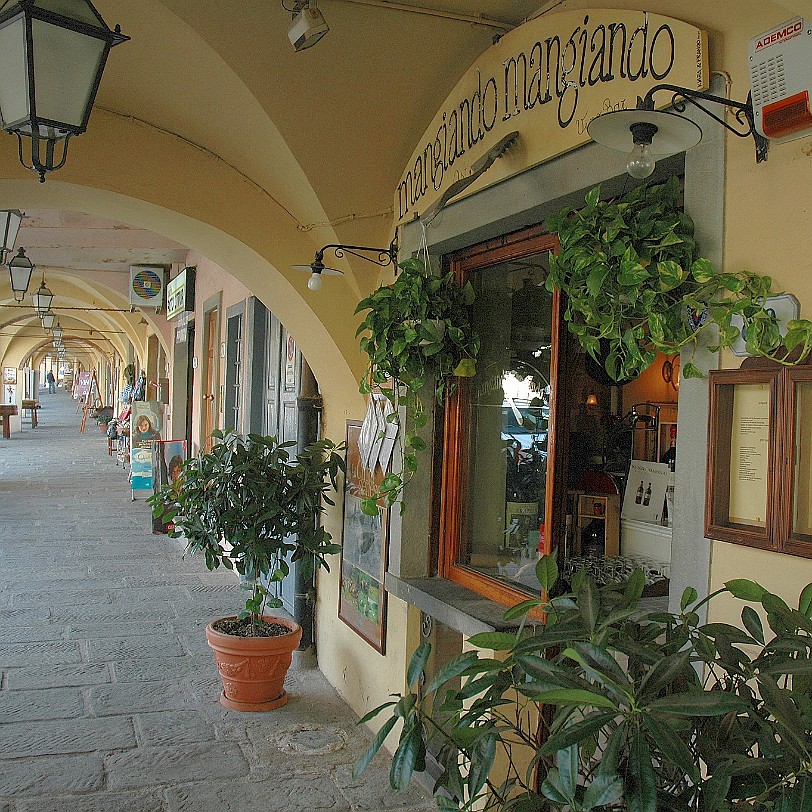 DSC_3969 Italien, Greve - Chianti