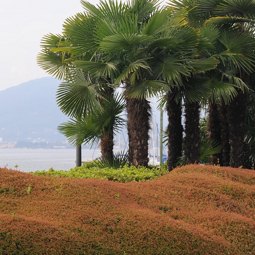 DSC_3885 Italien, Laveno-Mombello, Lago Maggiore, Sasso del Ferro