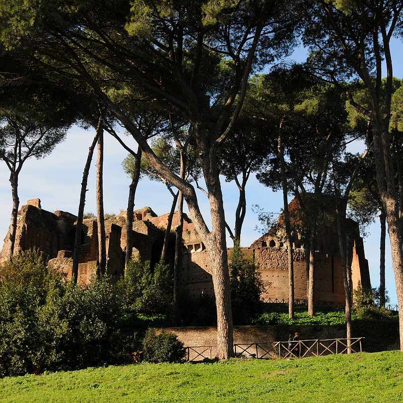 DSC_7073 An der Stelle des späteren Forum Romanum befand sich bis zum 6. Jahrhundert v. Chr. eine sumpfige Ebene, die sich zwischen Palatin und Kapitol erstreckte und...