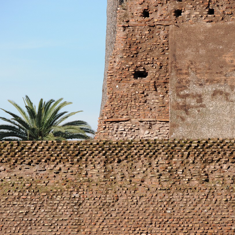 DSC_7081 Italien, Rom, Forum Romanum