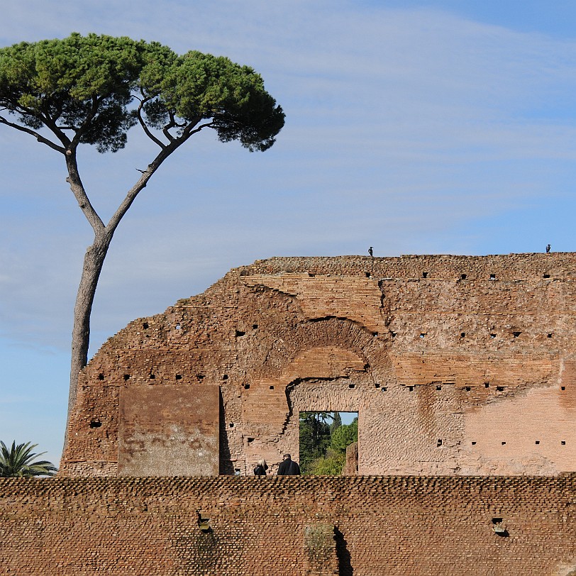 DSC_7082 Italien, Rom, Forum Romanum
