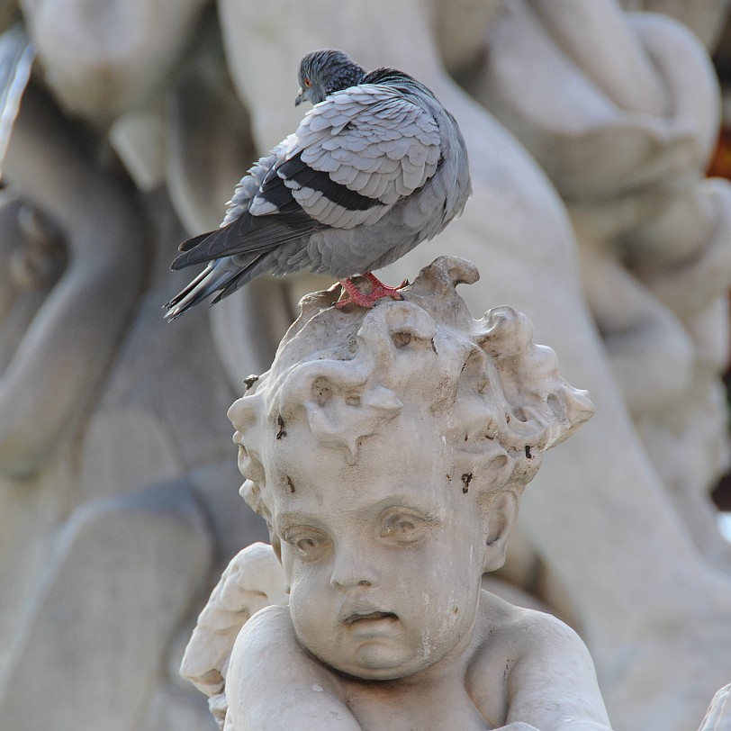 DSC_6902 Rom, Fontana dei Quattro Fiumi (Vierströmebrunnen) auf der Piazza Navona