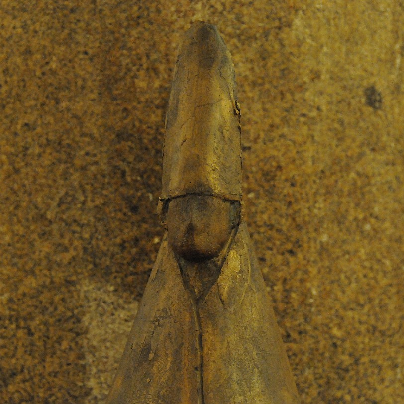 DSC_6792 Die Vatikanischen Museen (italienisch: Musei Vaticani) beherbergen die päpstlichen Kunstsammlungen und befinden sich auf dem Territorium der Vatikanstadt.
