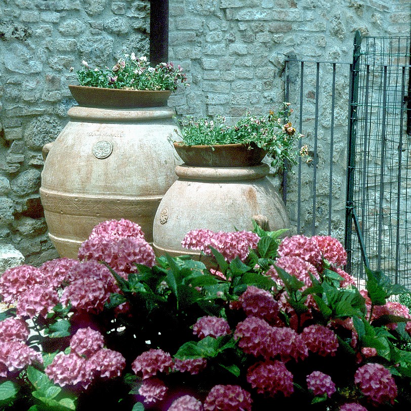 [258] Italien,Toskana, San Gimigniano