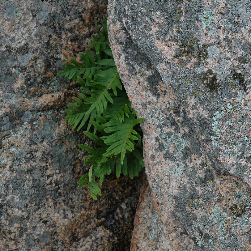 DSC_4379 Sardinien