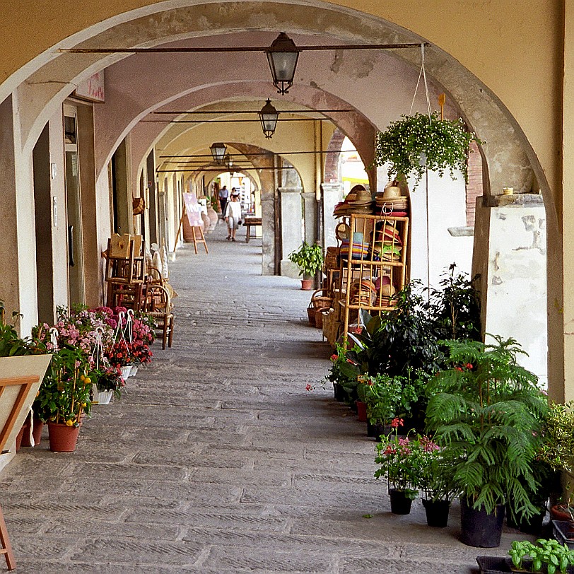 Siena Abazzia Italien, Siena