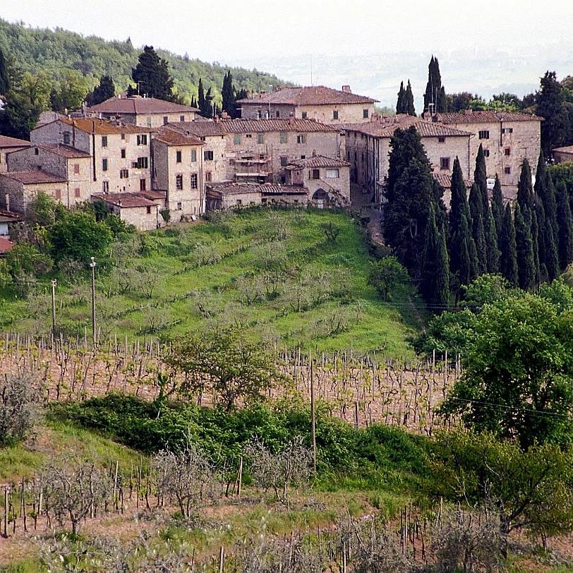 0209426 Italien, Siena