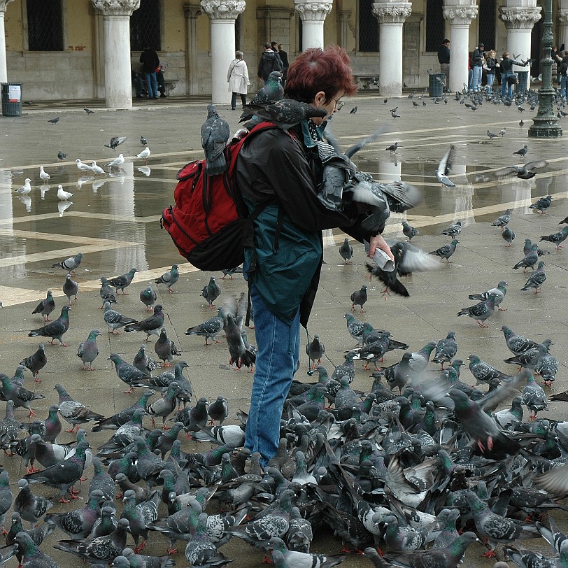 DSC_6132 Wenn die Tauben gehen, stirbt Venedig.