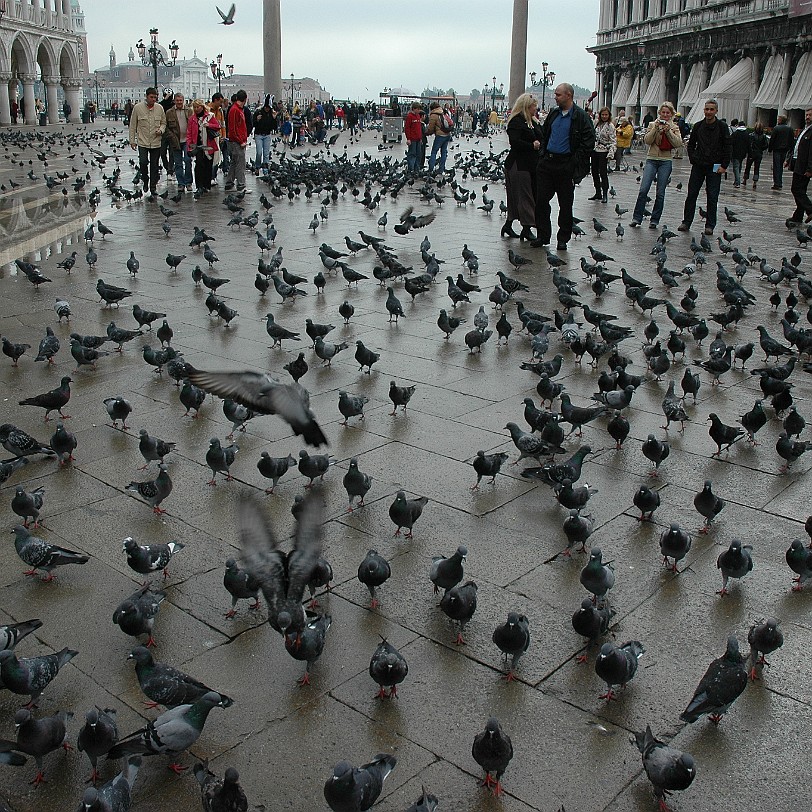 DSC_6134 Der Markusplatz (ital.: Piazza San Marco) ist der bedeutendste und bekannteste Platz der Lagunenstadt Venedig. Der Markusplatz ist neben dem Piazzale Roma der...