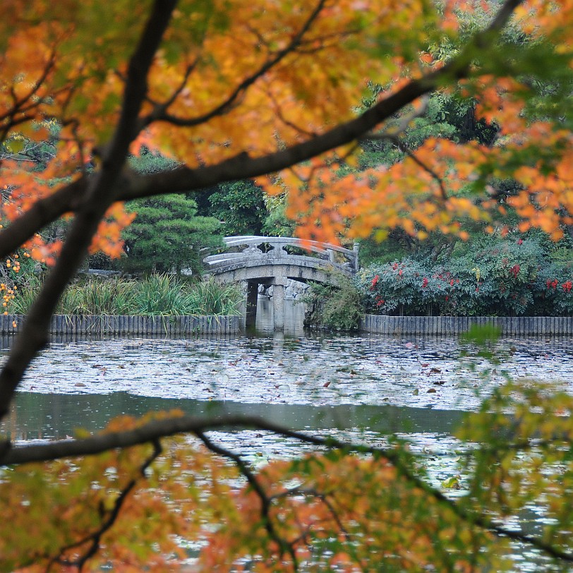 DSC_4103 Der Zen-Garten des Ryoanji-Tempels in Kyoto