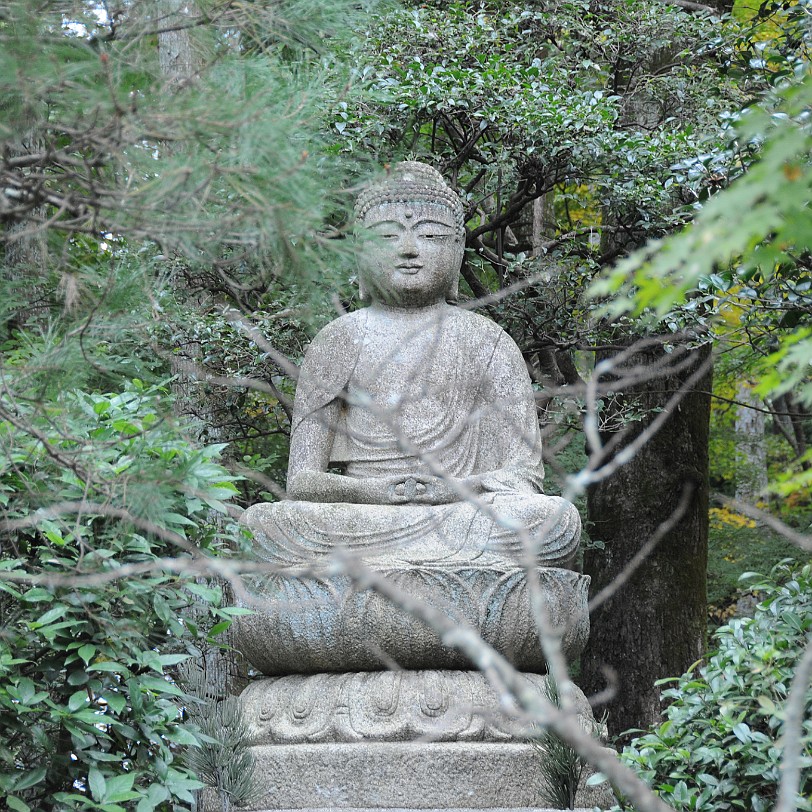 DSC_4105 Der Zen-Garten des Ryoanji-Tempels in Kyoto Ryoan-ji, dt. Tempel des zur Ruhe gekommenen Drachen, ist ein 1499 gegründeter Zen-Tempel im Nordwesten der...