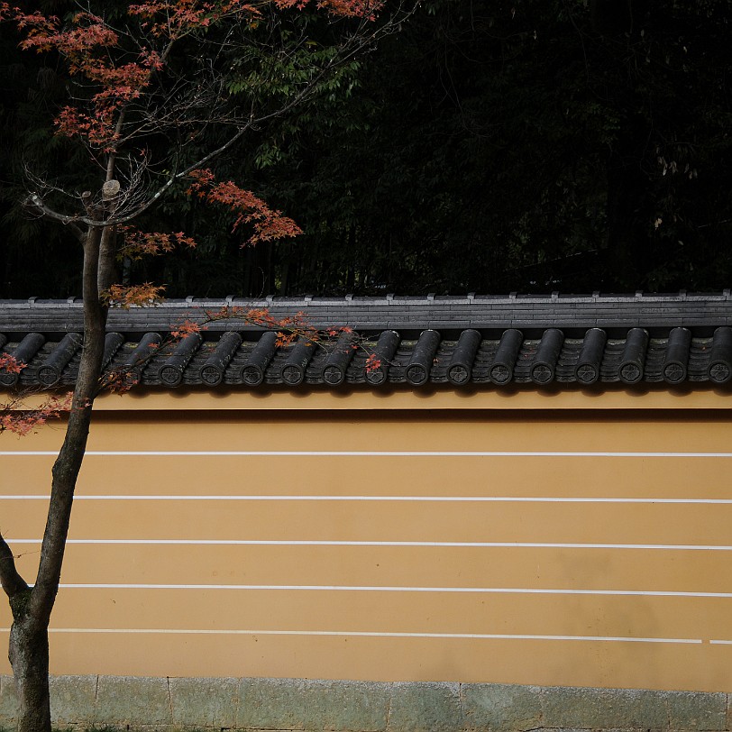 DSC_4181 Kinkaku-ji, Goldener-Pavillon-Tempel, ist ein buddhistischer Tempel im Nordwesten der japanischen Stadt Kyoto in deren Stadtbezirk Kita-ku. Sein eigentlicher...